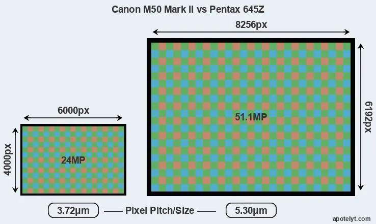M50 Mark II versus 645Z MP
