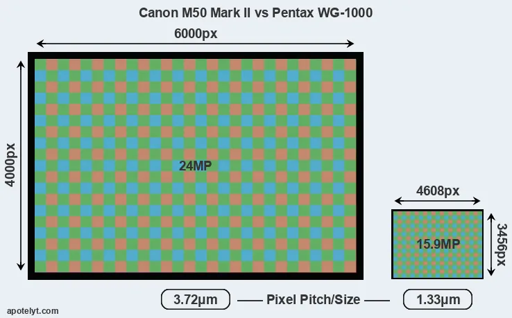 M50 Mark II versus WG-1000 MP