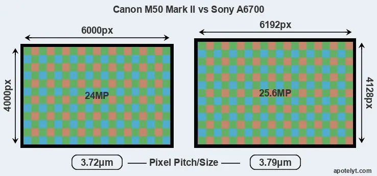 M50 Mark II versus A6700 MP