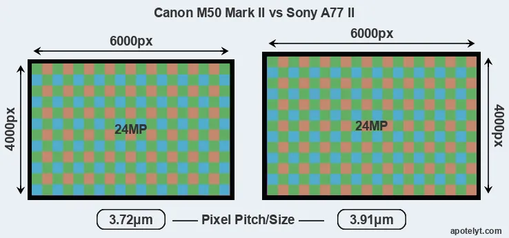 M50 Mark II versus A77 II MP
