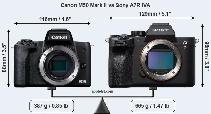 Size Canon M50 Mark II vs Sony A7R IVA