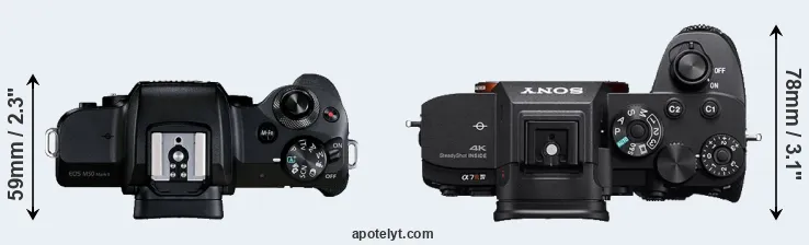 Compare M50 Mark II versus A7R IVA top