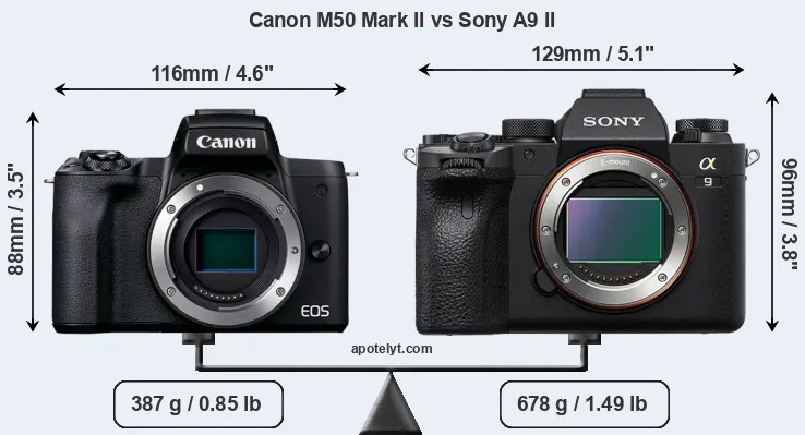 Size Canon M50 Mark II vs Sony A9 II