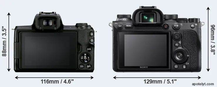 Comparison M50 Mark II or A9 II rear