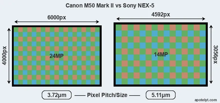M50 Mark II versus NEX-5 MP