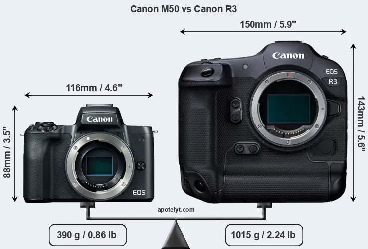 Size Canon M50 vs Canon R3