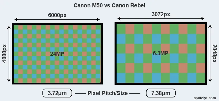M50 versus Rebel MP