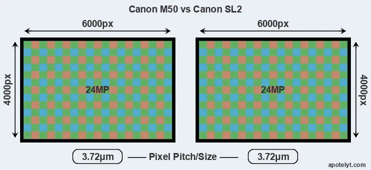 M50 versus SL2 MP