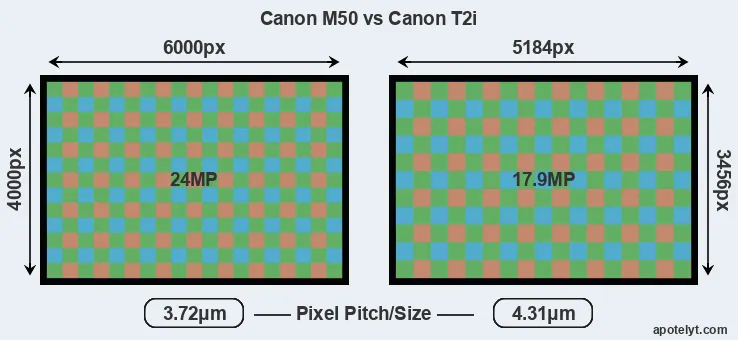 M50 versus T2i MP