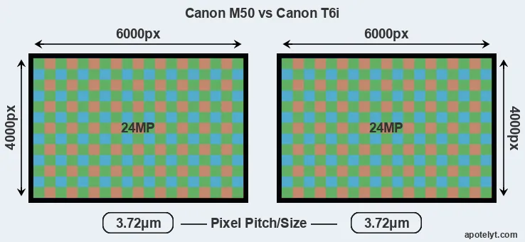 M50 versus T6i MP