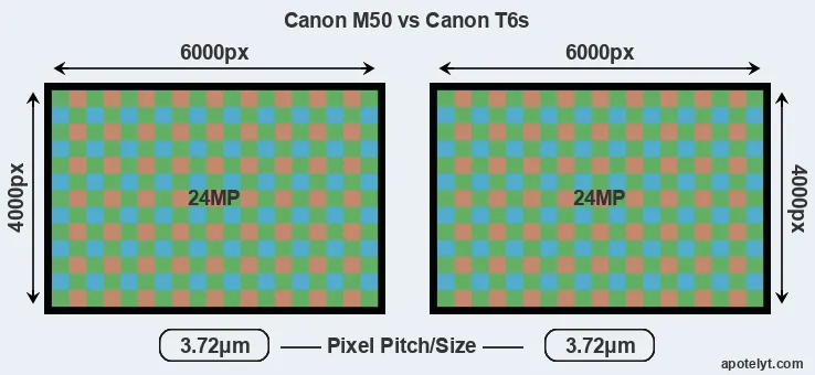 M50 versus T6s MP
