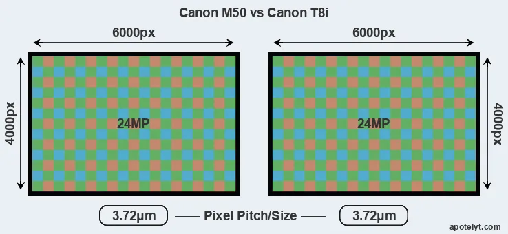 M50 versus T8i MP