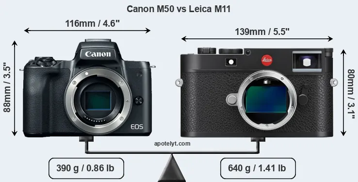 Size Canon M50 vs Leica M11