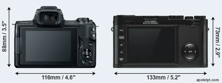 Comparison M50 or X Typ 113 rear