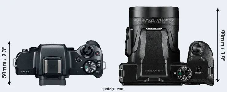 Compare M50 versus B600 top
