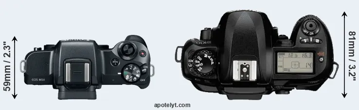 Compare M50 versus D100 top