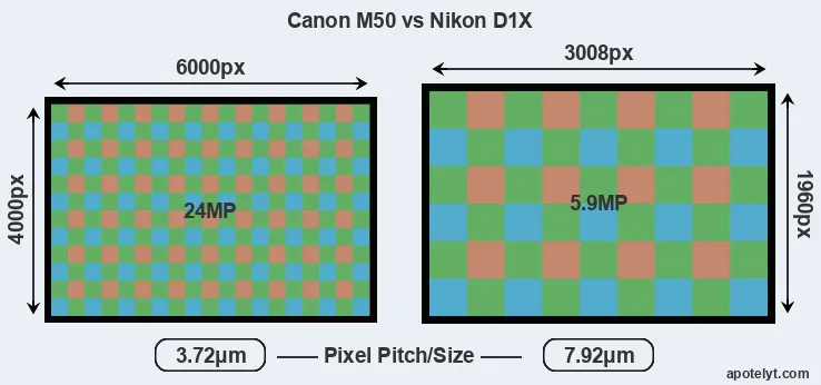 M50 versus D1X MP