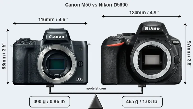 Size Canon M50 vs Nikon D5600