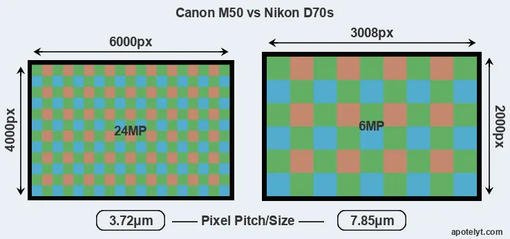 M50 versus D70s MP
