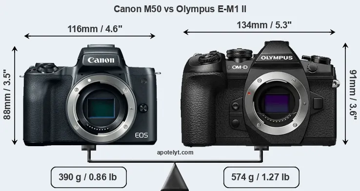 Size Canon M50 vs Olympus E-M1 II