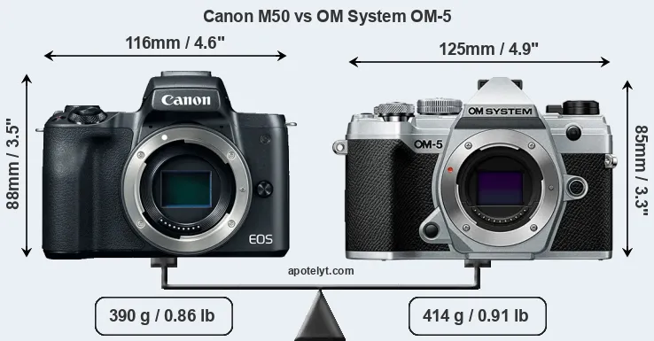 Size Canon M50 vs OM System OM-5