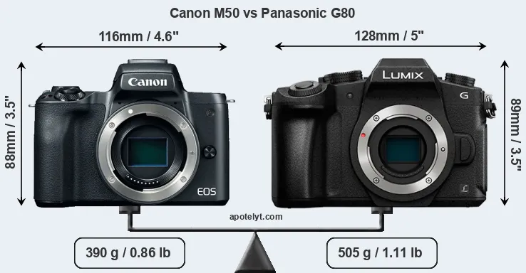 Size Canon M50 vs Panasonic G80
