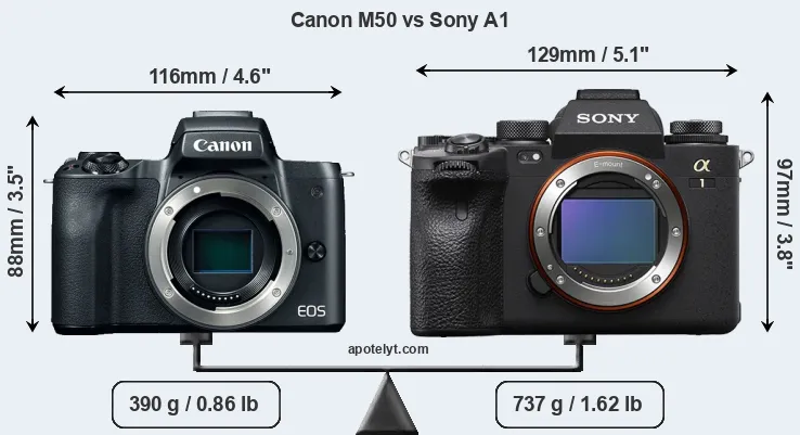 Size Canon M50 vs Sony A1