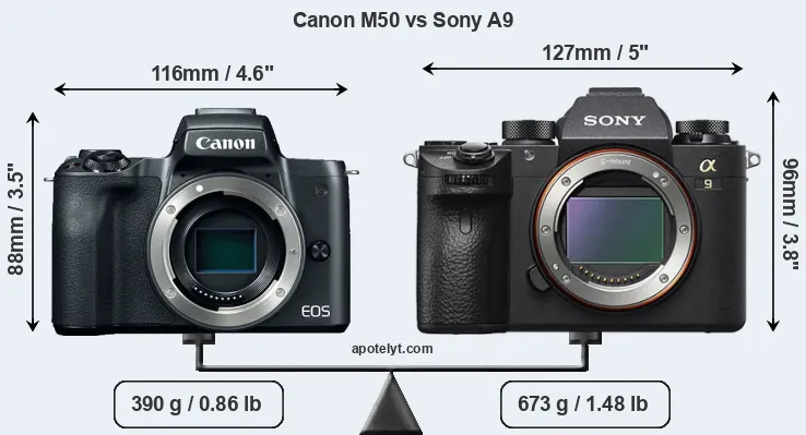 Size Canon M50 vs Sony A9