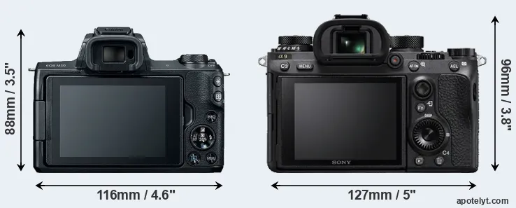 Comparison M50 or A9 rear