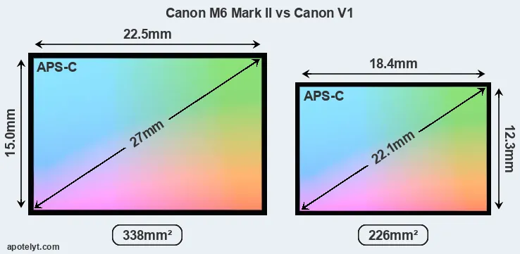 Canon M6 Mark II and Canon V1 sensor measures