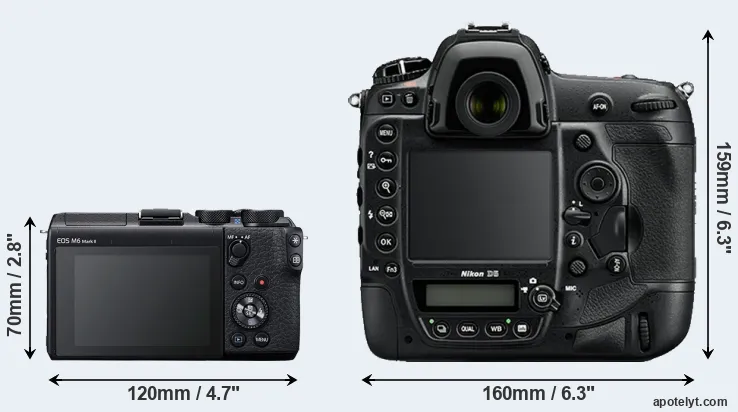 Comparison M6 Mark II or D5 rear