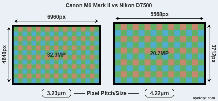M6 Mark II versus D7500 MP