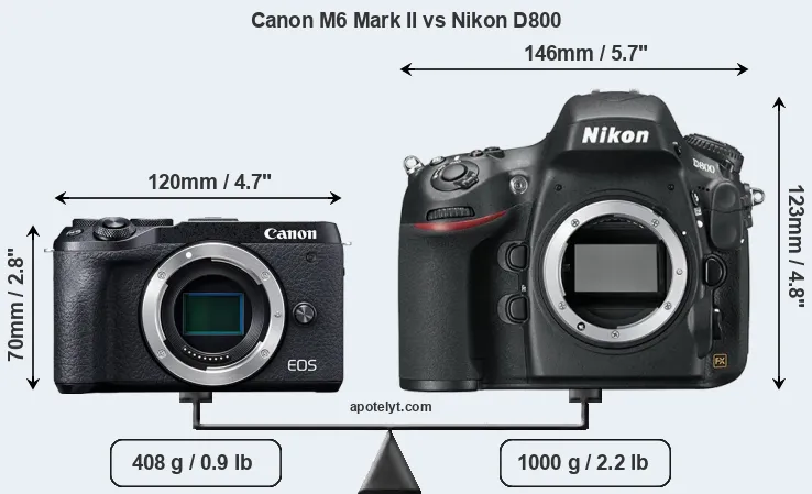 Size Canon M6 Mark II vs Nikon D800