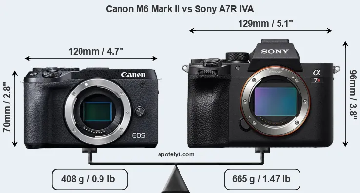 Size Canon M6 Mark II vs Sony A7R IVA