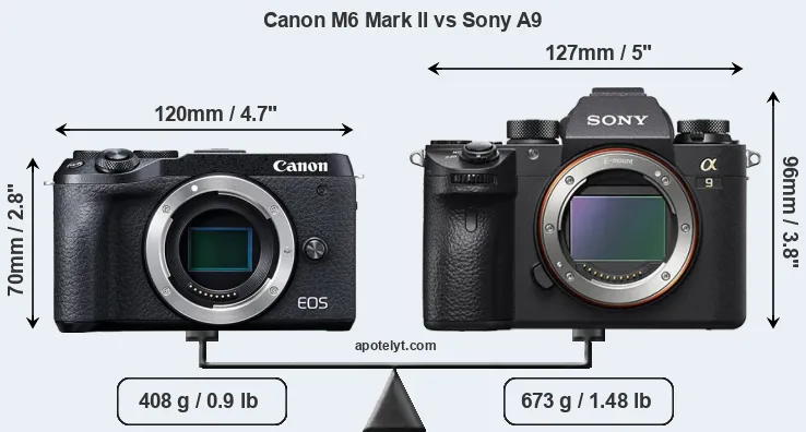 Size Canon M6 Mark II vs Sony A9