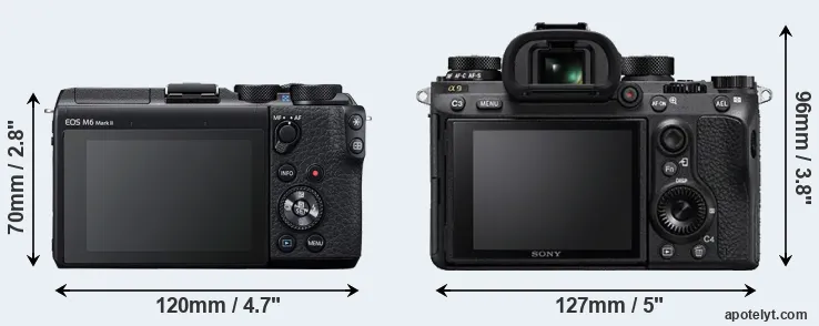 Comparison M6 Mark II or A9 rear