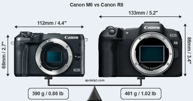 Size Canon M6 vs Canon R8