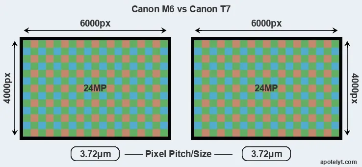 M6 versus T7 MP