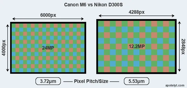 M6 versus D300S MP