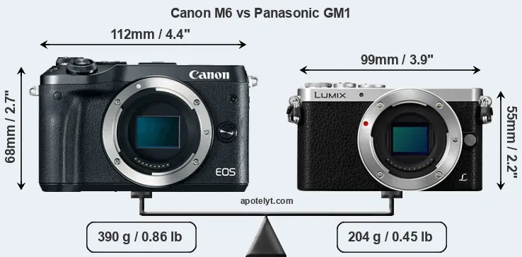 Size Canon M6 vs Panasonic GM1
