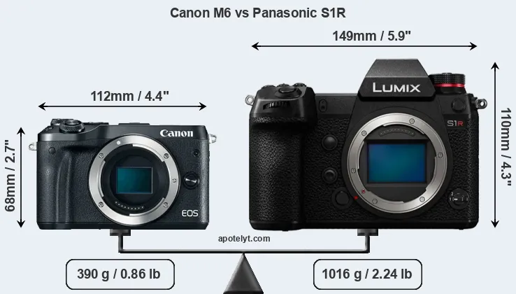 Size Canon M6 vs Panasonic S1R