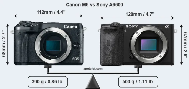 Size Canon M6 vs Sony A6600