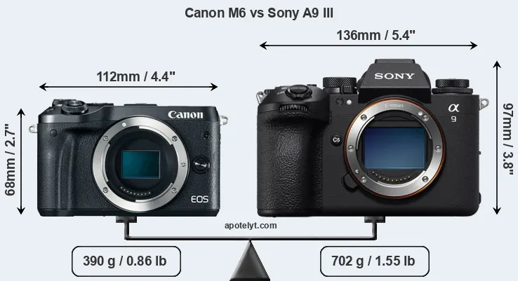 Size Canon M6 vs Sony A9 III