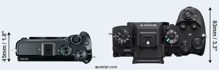 Compare M6 versus A9 III top
