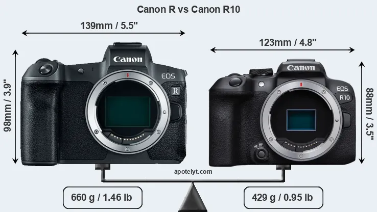 Size Canon R vs Canon R10