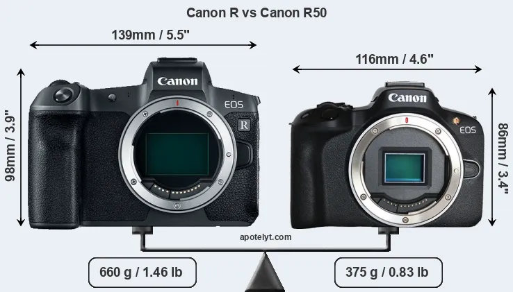 Size Canon R vs Canon R50