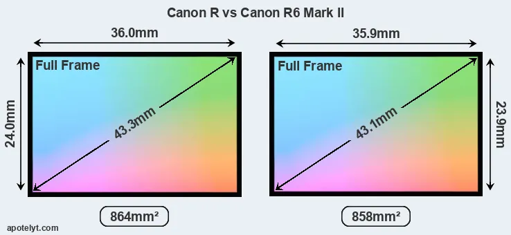 Canon R and Canon R6 Mark II sensor measures