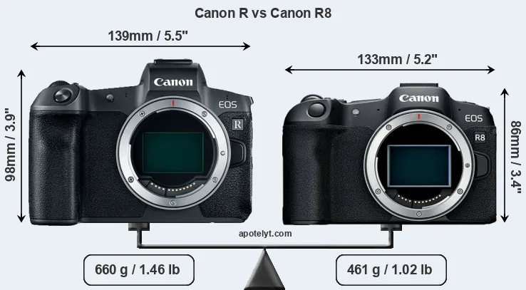 Size Canon R vs Canon R8