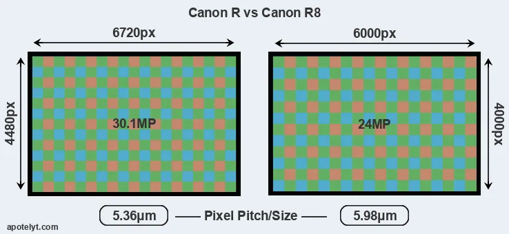 Canon R versus R8 MP