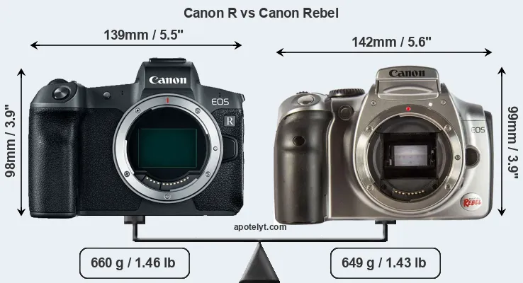 Size Canon R vs Canon Rebel